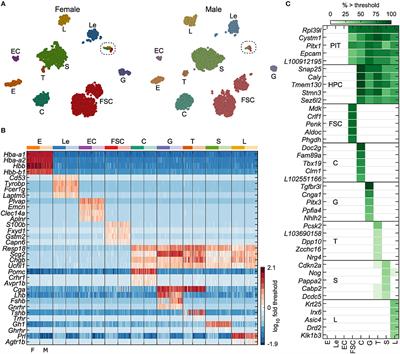 Cell Type- and Sex-Dependent Transcriptome Profiles of Rat Anterior Pituitary Cells